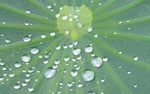 Wasserabweisend-1a