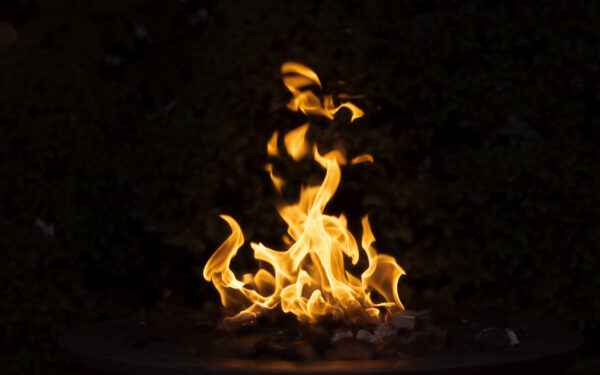 bruno-goeLqFF5JYo-unsplash-1a
